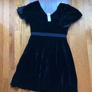 Ann Taylor Velvet Ruffle Sleeve Dress